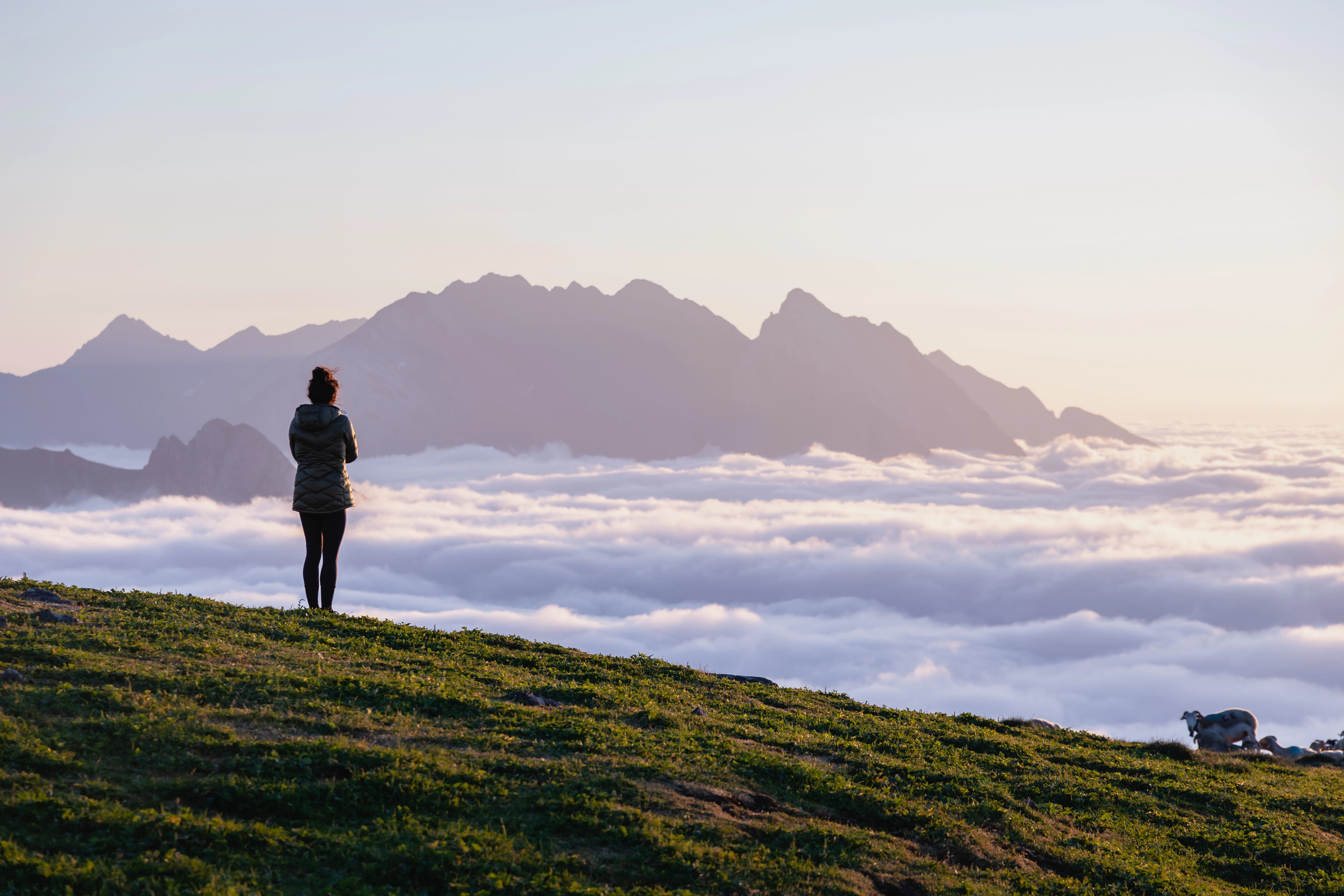 CADEAU A GLISSER SOUS LE SAPIN ESCAPADES